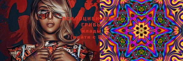 амф Корсаков