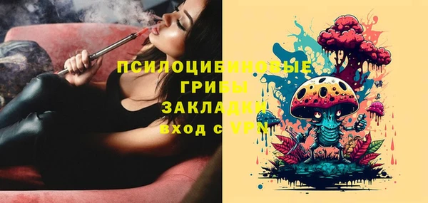 стафф Козловка