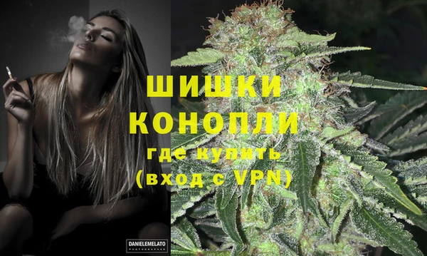 амф Корсаков