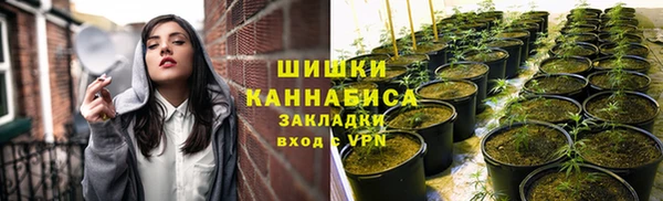 стафф Козловка