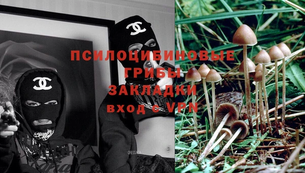 бутират Коряжма