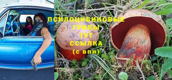 стафф Козловка