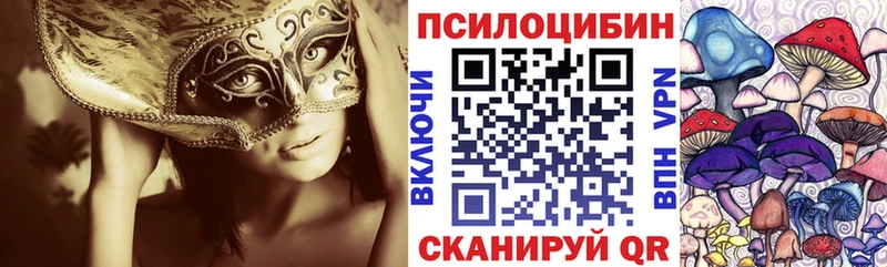Галлюциногенные грибы Magic Shrooms  Купить где  Боровск 